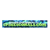 Spikes Corals coupons